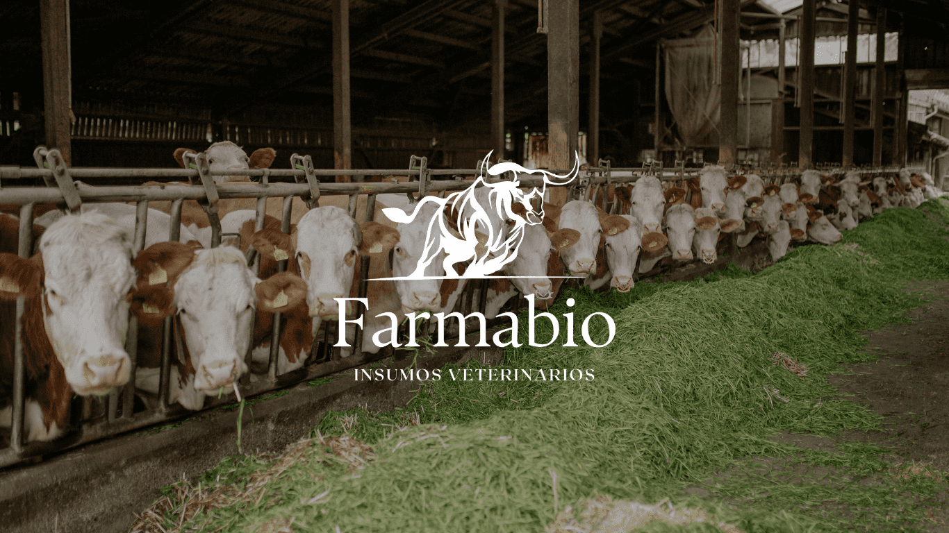 Vitaminas y Minerales