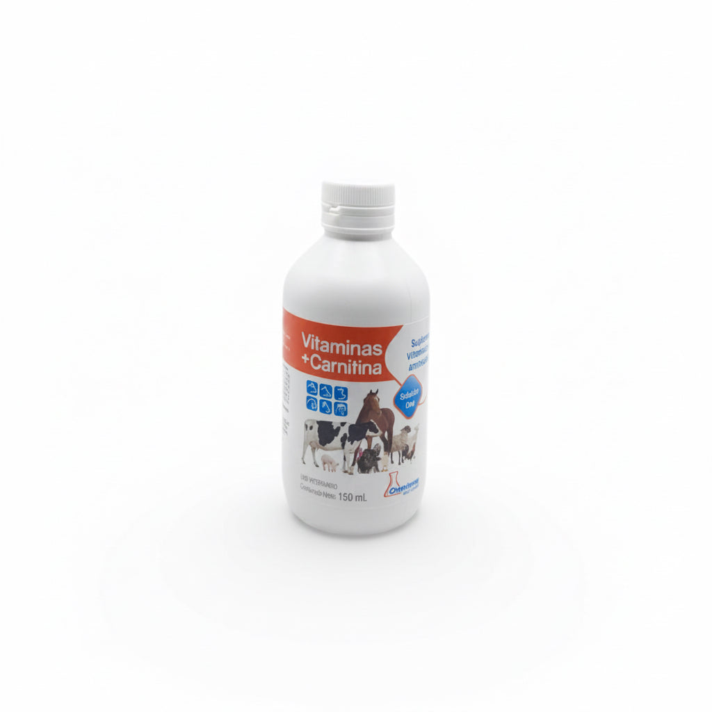 Vitaminas + Carnitina