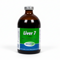 Liver 7